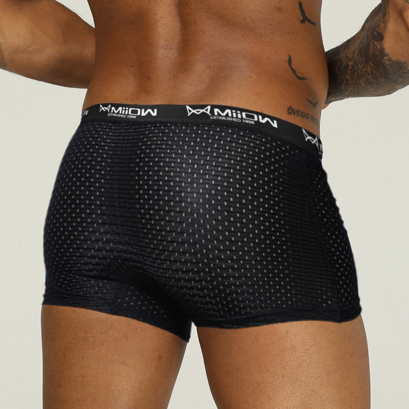 MiiOW Mesh Men Underwear Boxer - Boxer Shorts Modal 评论和价格